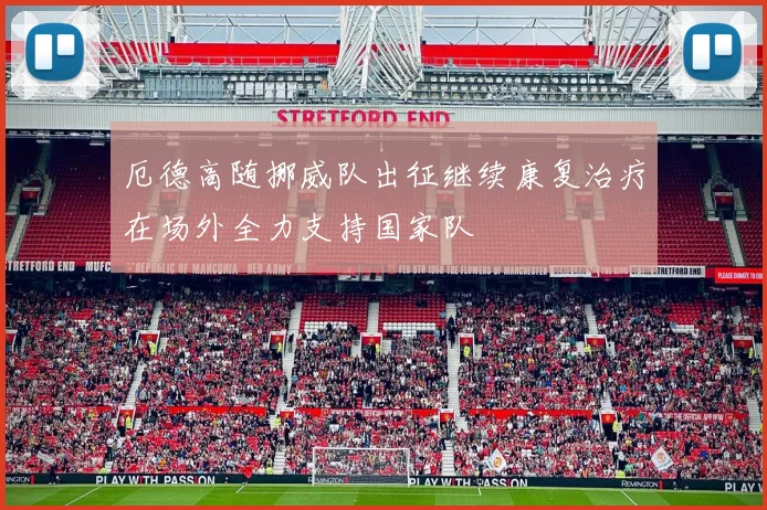 厄德高随挪威队出征继续康复治疗在场外全力支持国家队